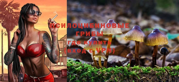 не бодяженный Абдулино